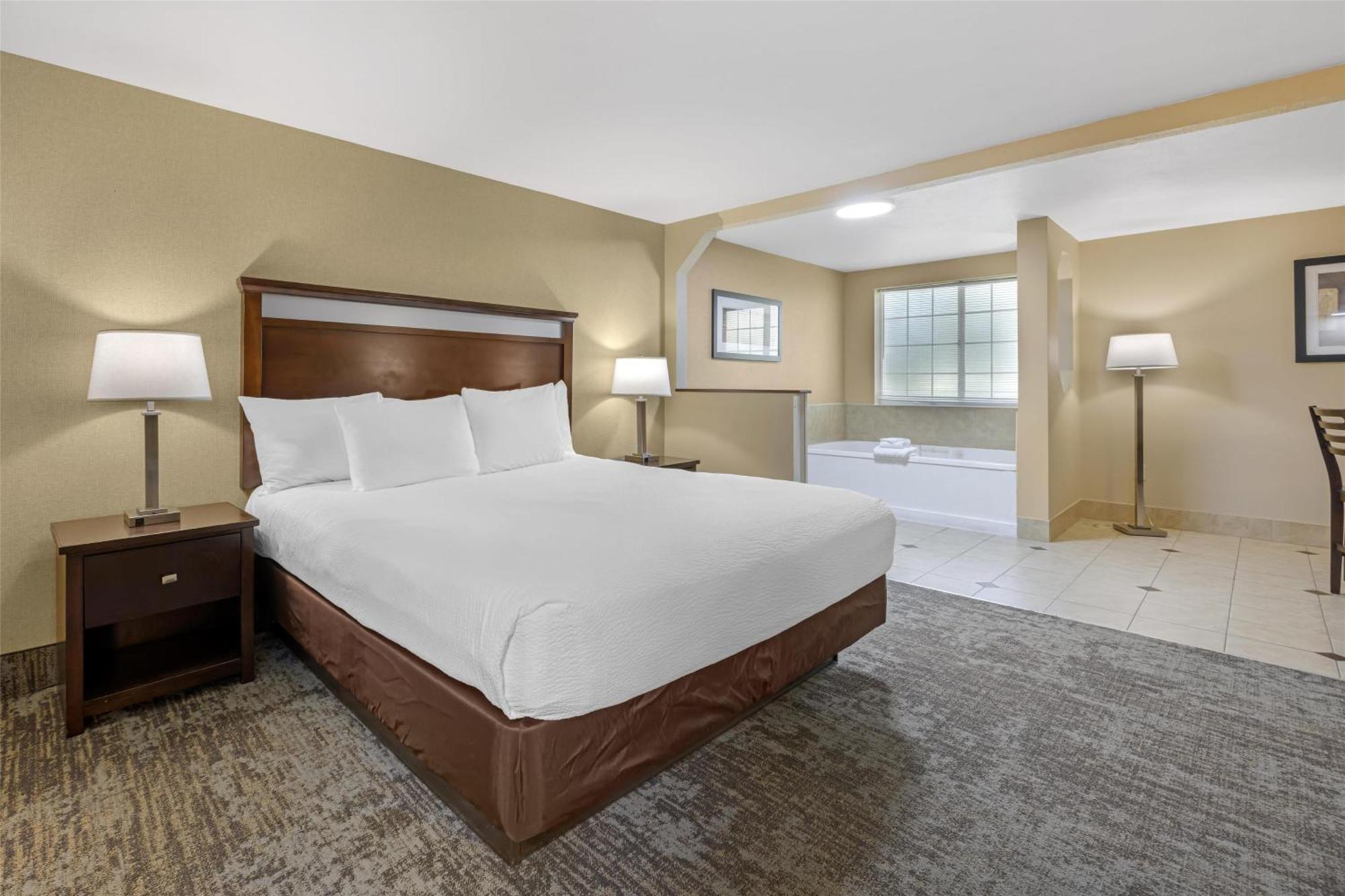 Presidential King Suite Sofa Bed Jetted Tub Non-Smoking,1704944407:JPEG